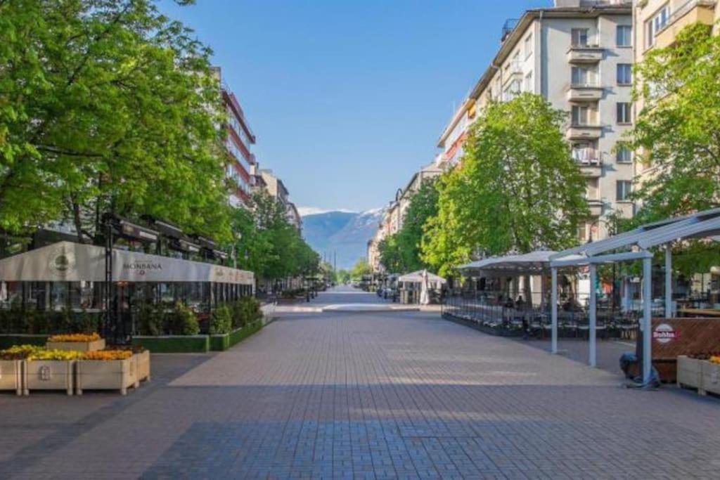 Center 3 * Sofia